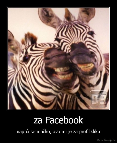demotivacija.hr_za-Facebook-naprci-se-macko-ovo-mi-je-za-profil-sliku_131093896219.jpg, 82 KB